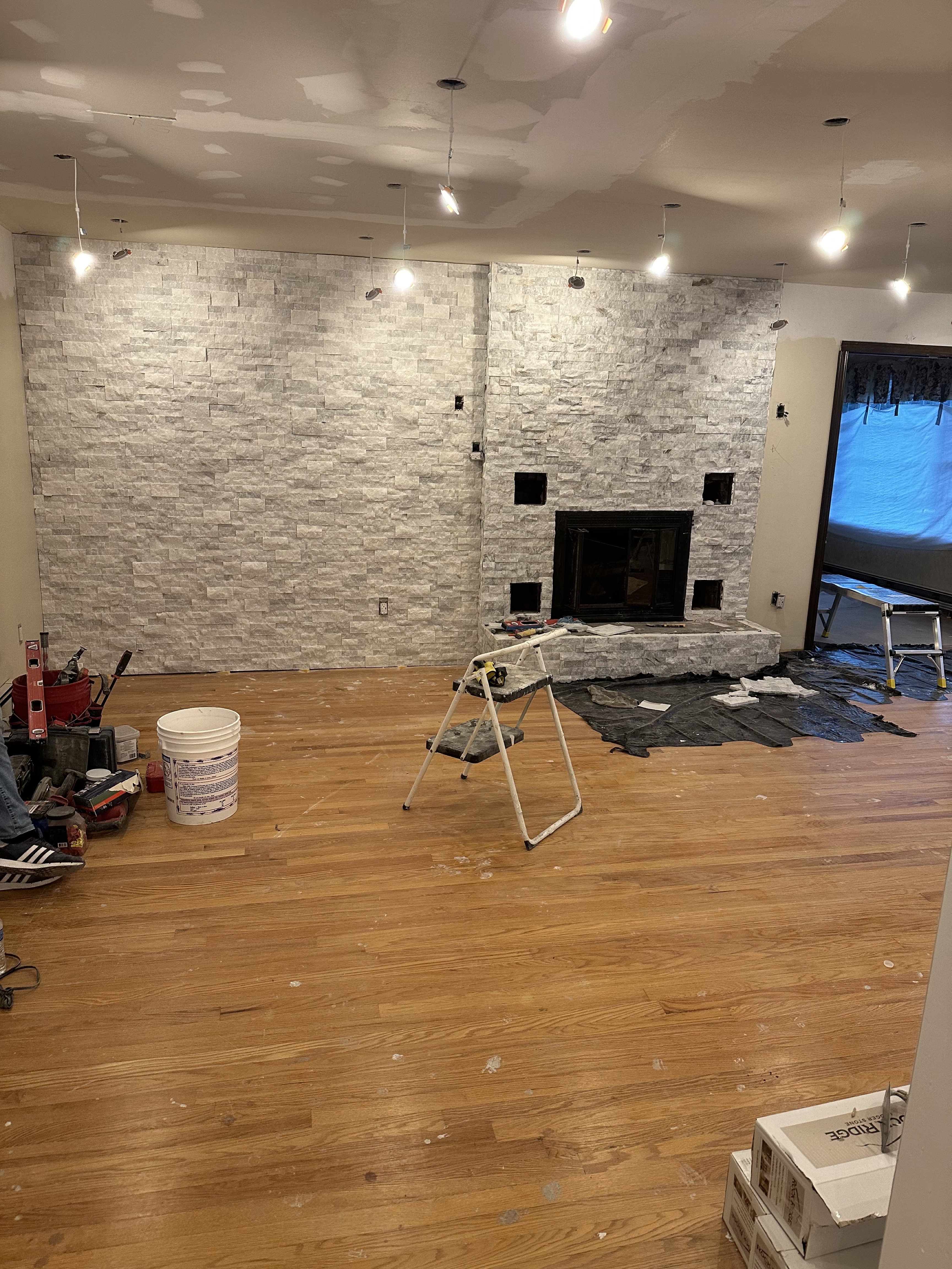 Ongoing Project 2
